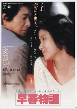 韩国电影大尺度《小姐》海报